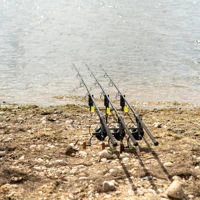 Daiwa Infinity MT X45 Carp Rods